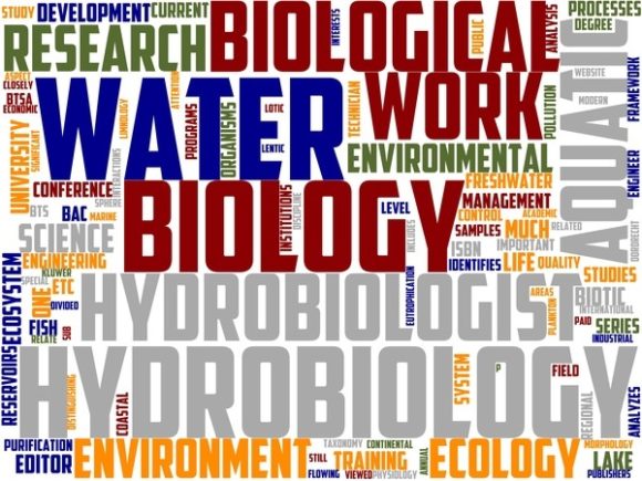 Hydrobiology Wordart Banner: Where Scientific Wonder Meets Everyday Creativity