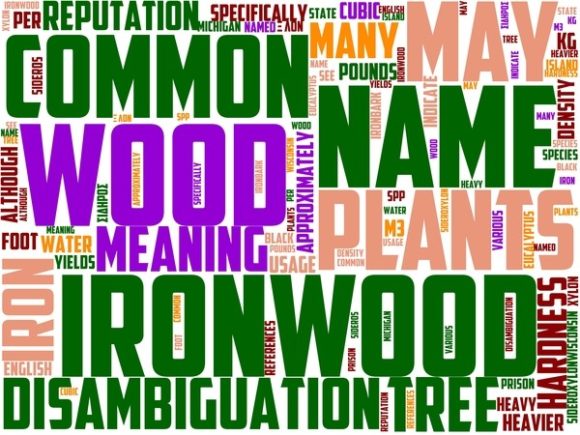 Ironwood Wordart Crafting: Hand-Drawn Word Clouds That Inspire