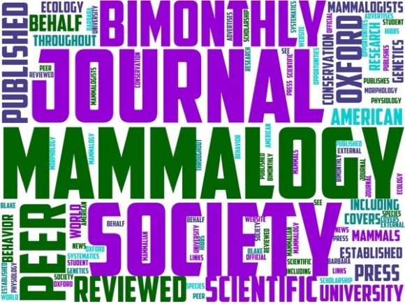 Mammology Wordart Book Cover