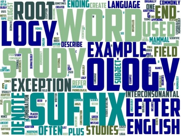 Mnesiology Wordart Tumbler